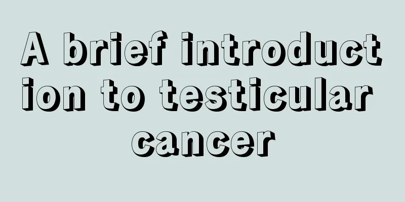 A brief introduction to testicular cancer