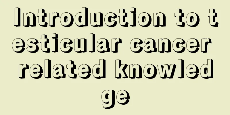 Introduction to testicular cancer related knowledge