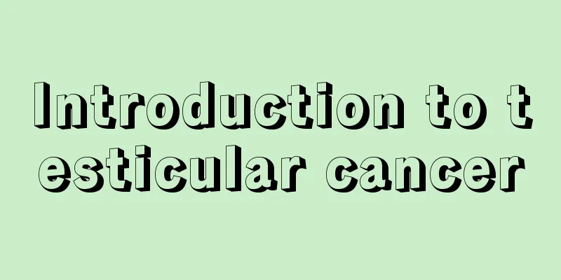 Introduction to testicular cancer
