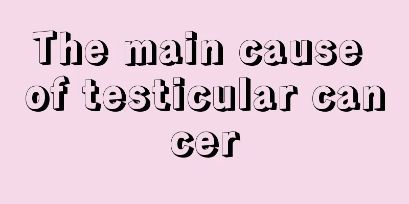 The main cause of testicular cancer