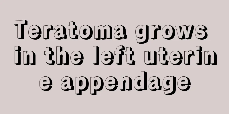 Teratoma grows in the left uterine appendage