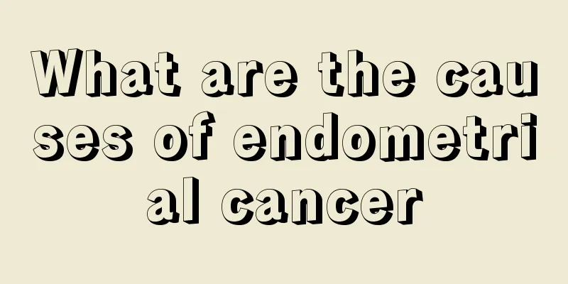 What are the causes of endometrial cancer