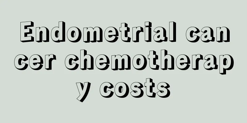 Endometrial cancer chemotherapy costs