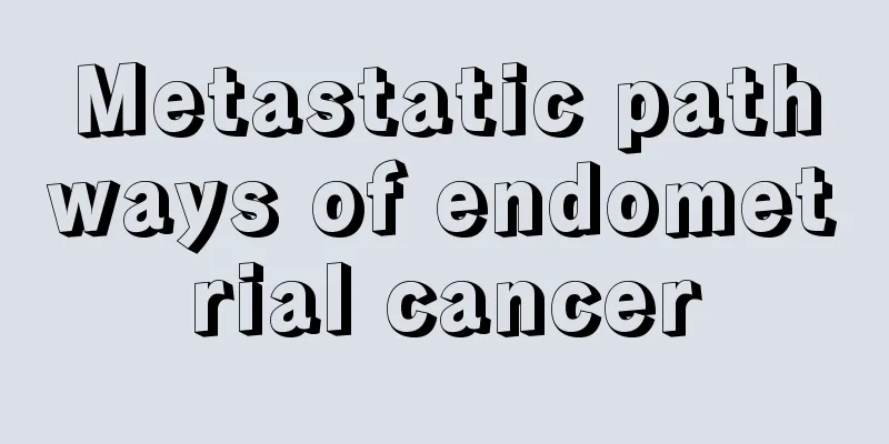 Metastatic pathways of endometrial cancer