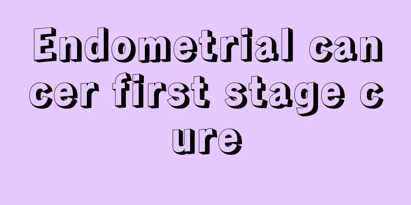 Endometrial cancer first stage cure