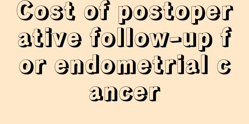 Cost of postoperative follow-up for endometrial cancer