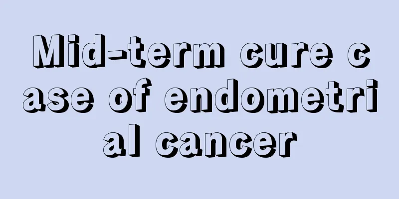 Mid-term cure case of endometrial cancer