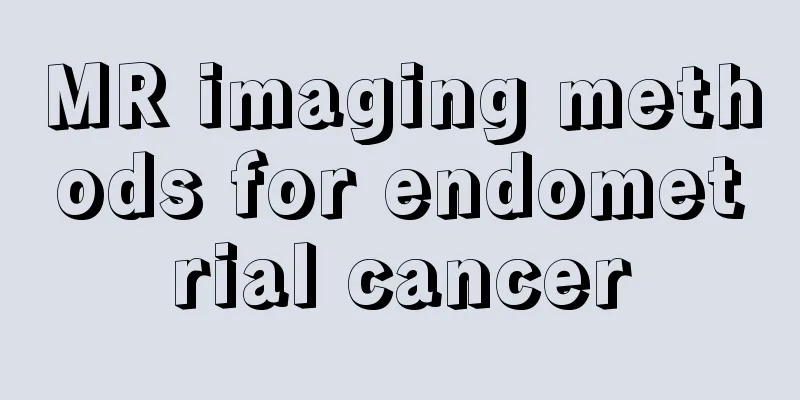 MR imaging methods for endometrial cancer