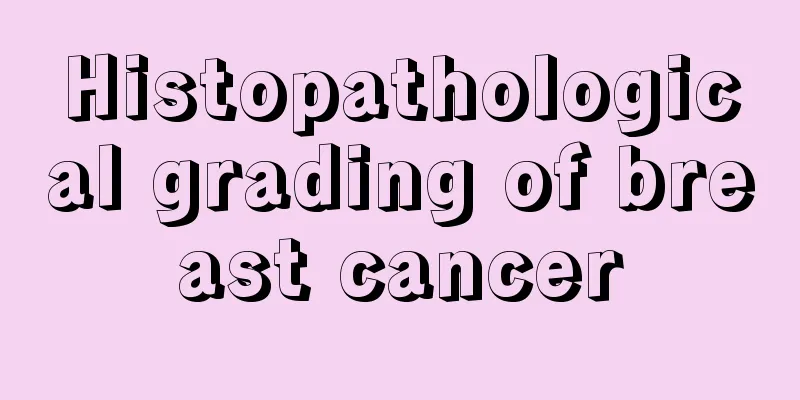 Histopathological grading of breast cancer