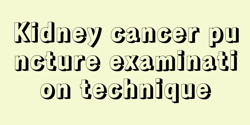 Kidney cancer puncture examination technique