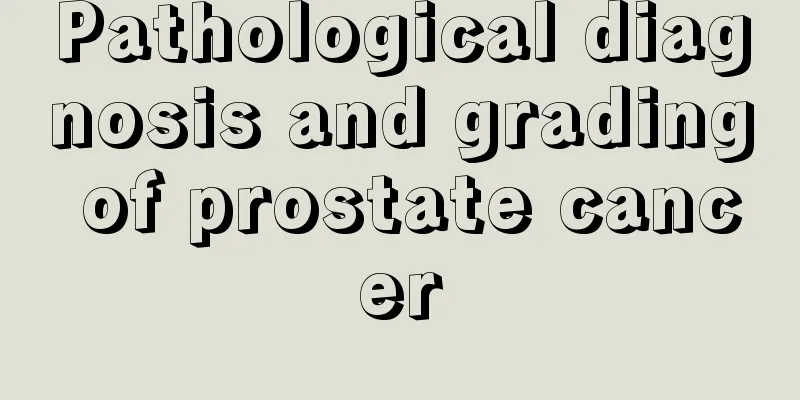 Pathological diagnosis and grading of prostate cancer