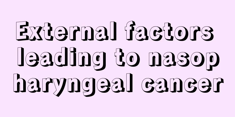 External factors leading to nasopharyngeal cancer