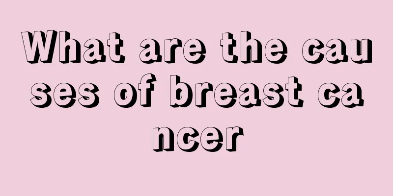 What are the causes of breast cancer