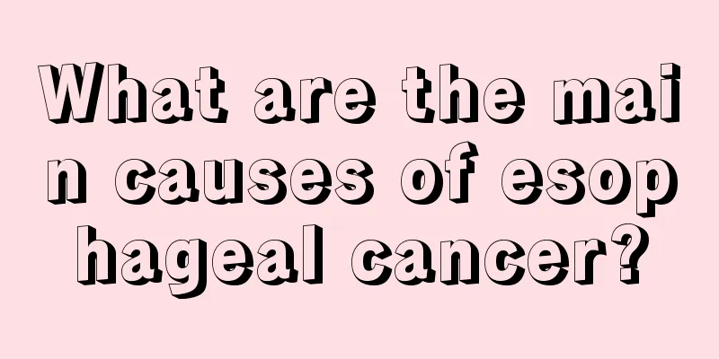 What are the main causes of esophageal cancer?