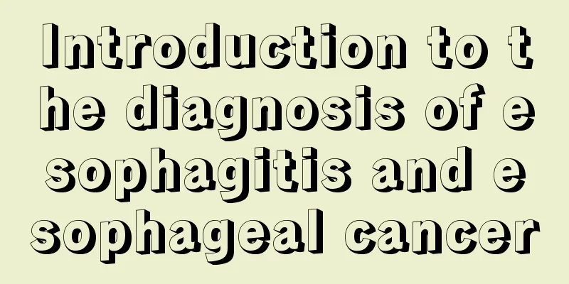 Introduction to the diagnosis of esophagitis and esophageal cancer