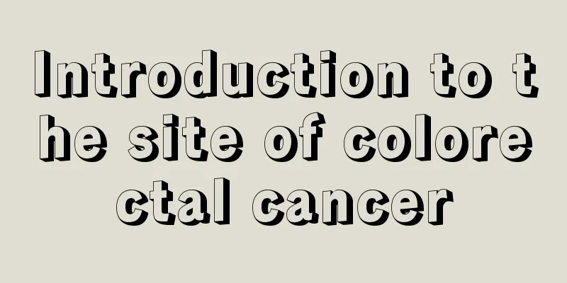 Introduction to the site of colorectal cancer