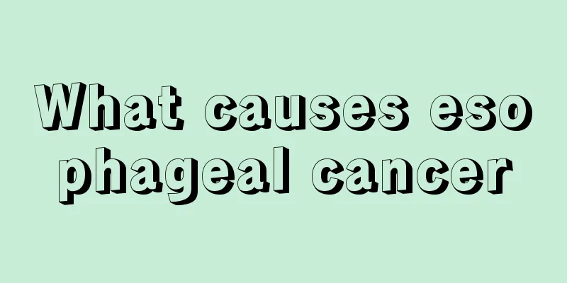 What causes esophageal cancer