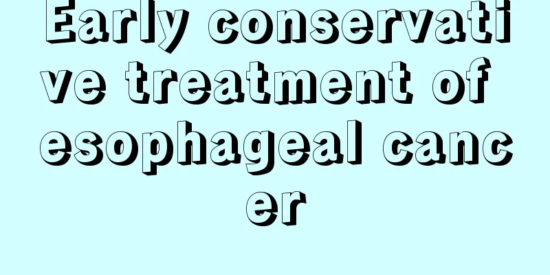 Early conservative treatment of esophageal cancer