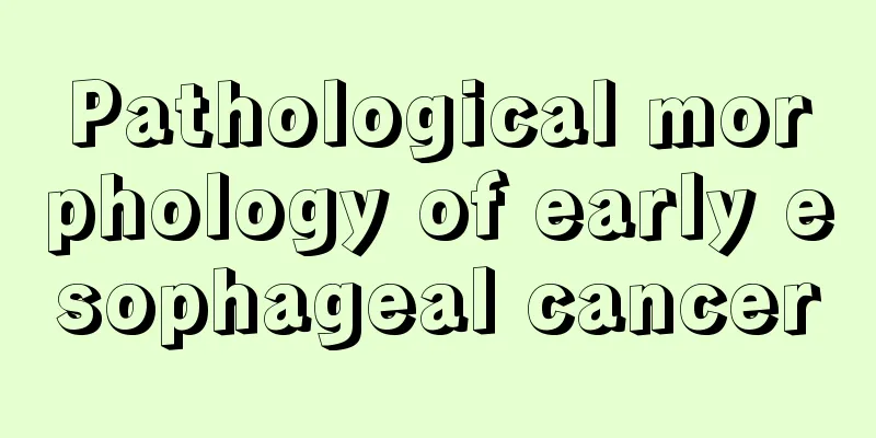 Pathological morphology of early esophageal cancer