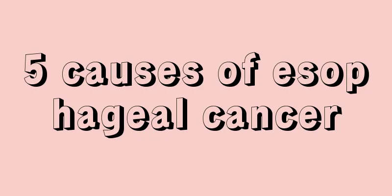 5 causes of esophageal cancer
