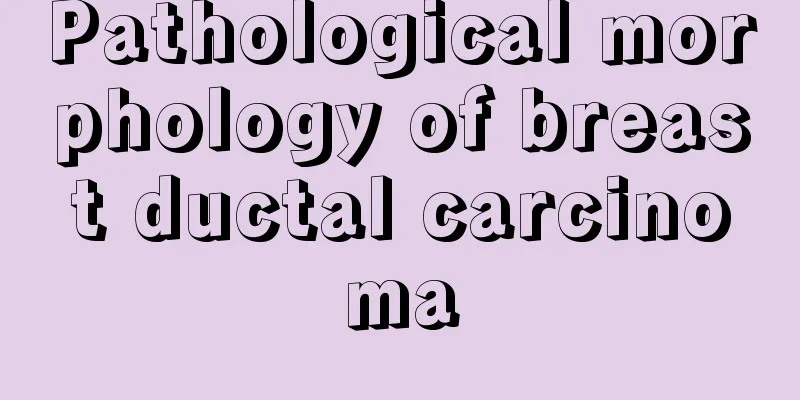 Pathological morphology of breast ductal carcinoma