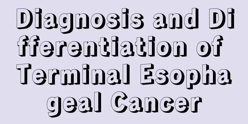 Diagnosis and Differentiation of Terminal Esophageal Cancer