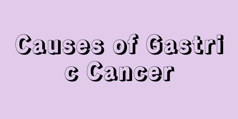 Causes of Gastric Cancer