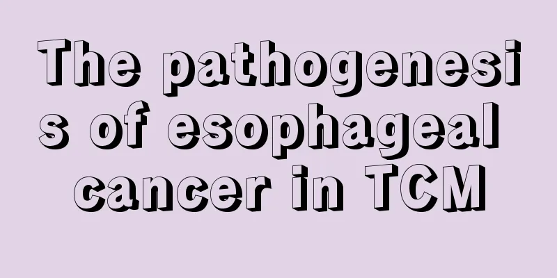 The pathogenesis of esophageal cancer in TCM