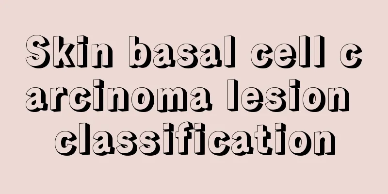 Skin basal cell carcinoma lesion classification