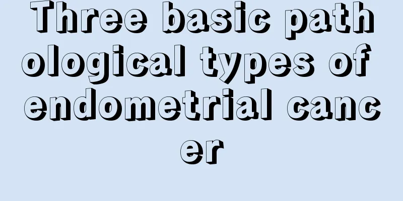 Three basic pathological types of endometrial cancer