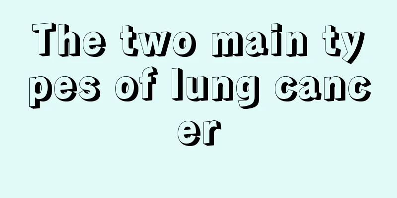 The two main types of lung cancer