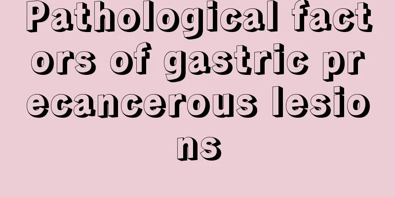Pathological factors of gastric precancerous lesions