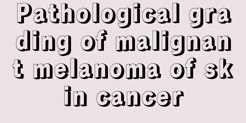 Pathological grading of malignant melanoma of skin cancer
