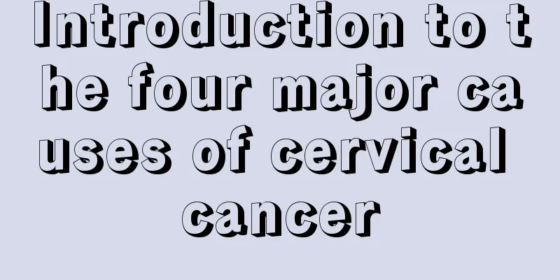 Introduction to the four major causes of cervical cancer