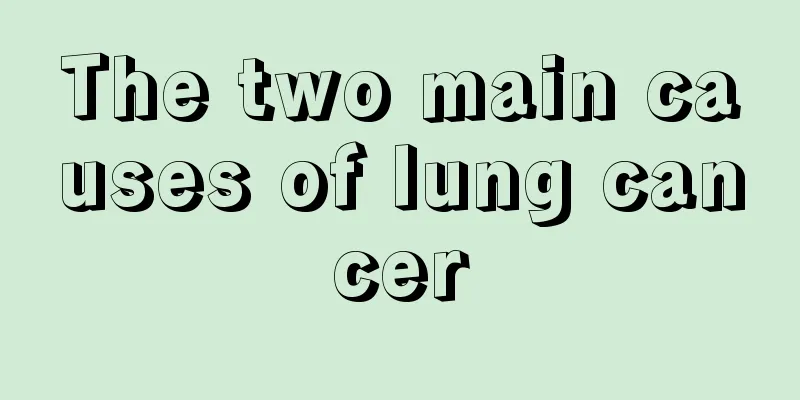 The two main causes of lung cancer