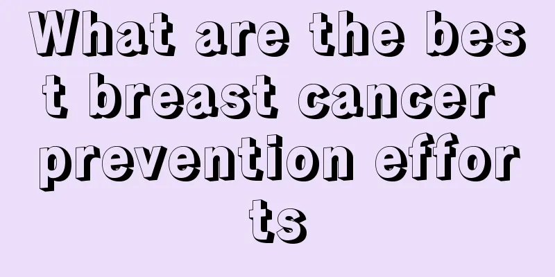 What are the best breast cancer prevention efforts