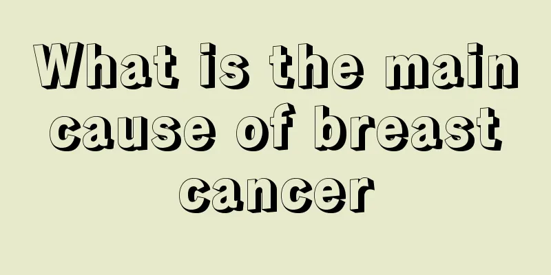 What is the main cause of breast cancer