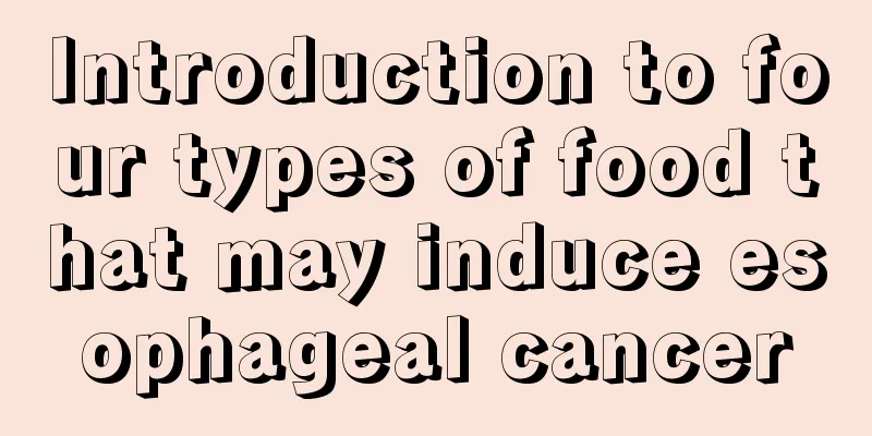 Introduction to four types of food that may induce esophageal cancer