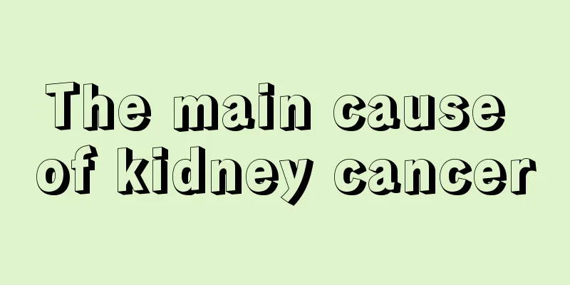 The main cause of kidney cancer