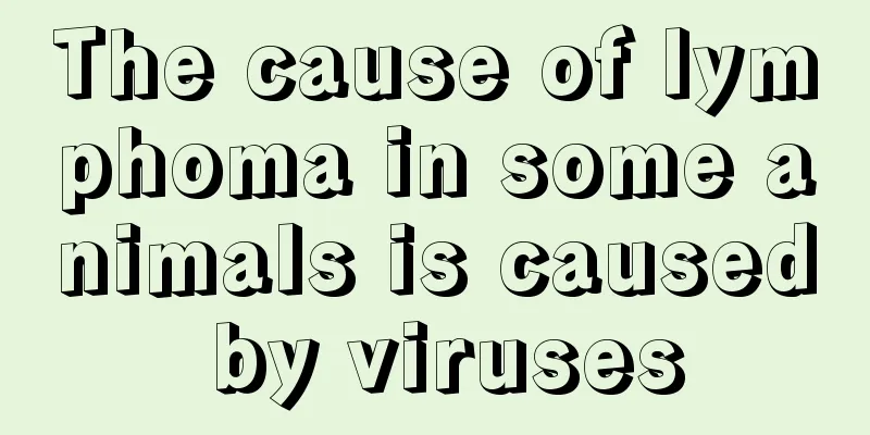 The cause of lymphoma in some animals is caused by viruses