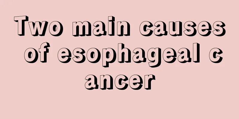 Two main causes of esophageal cancer
