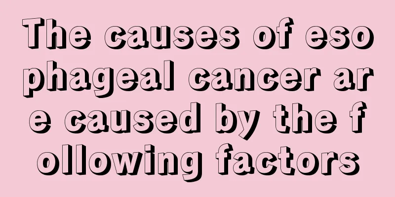 The causes of esophageal cancer are caused by the following factors