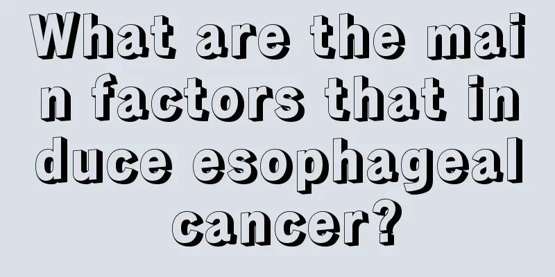 What are the main factors that induce esophageal cancer?