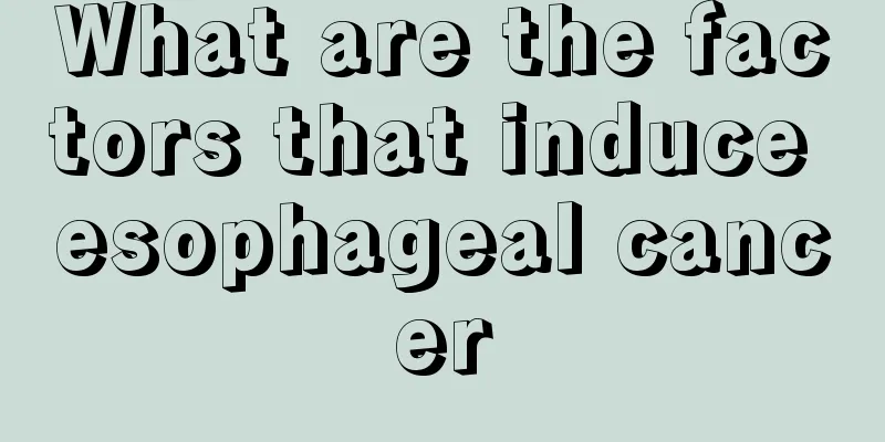 What are the factors that induce esophageal cancer