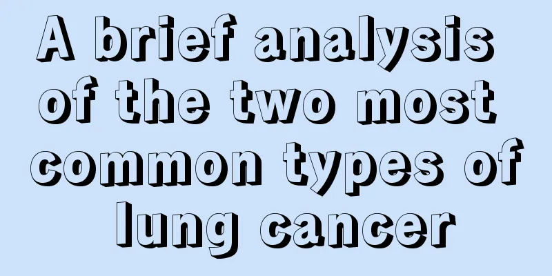 A brief analysis of the two most common types of lung cancer
