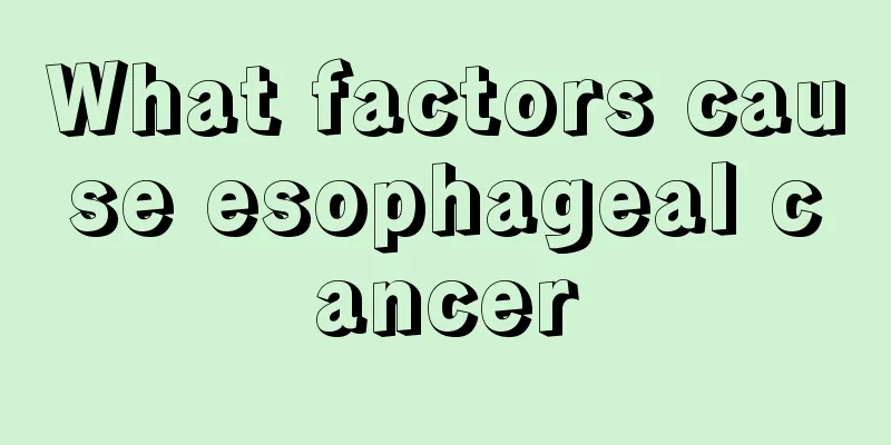 What factors cause esophageal cancer