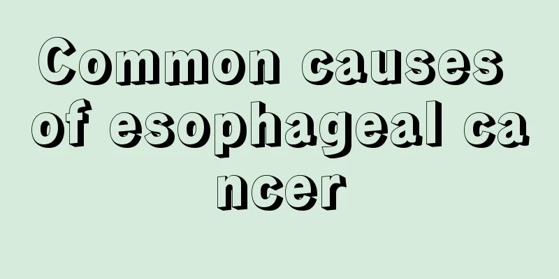 Common causes of esophageal cancer