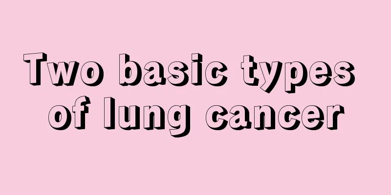 Two basic types of lung cancer