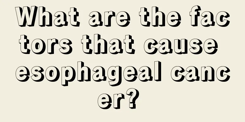 What are the factors that cause esophageal cancer? 