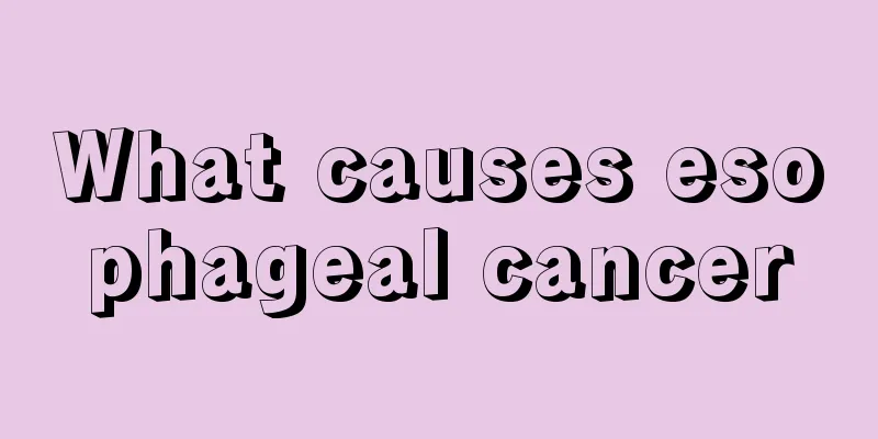 What causes esophageal cancer